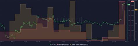 Litecoin (LTC) and Its